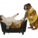 Dog psychiatrist image courtesy of shutterstock.com